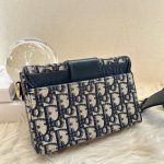 HB11783 DIOR montaigne small 2020