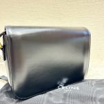 HB20430 Celine triomphe black and gold 2022 medium