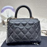 HB20261 Chanel mini cocohandle 2024