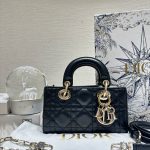HB20566 DIOR D-jour mini 2022
