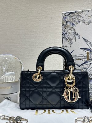 HB20566 DIOR D-jour mini 2022