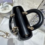 HB20566 DIOR D-jour mini 2022