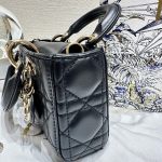 HB20566 DIOR D-jour mini 2022