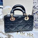 HB20566 DIOR D-jour mini 2022