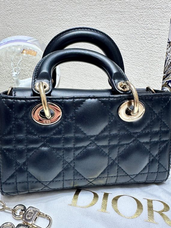 HB20566 DIOR D-jour mini 2022