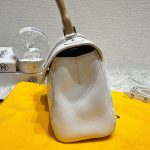 HB20581 Goyard mini saigon handle bag